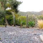 Villa Esclusiva Con Piscina E Parco Privato Da 1200 Mq Cinque Minuti A Piedi Dalle Spiagge Di Torre delle Stelle