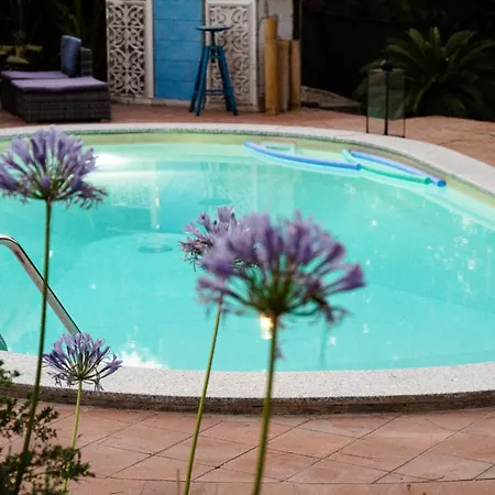Esclusiva Con Piscina E Parco Privato Da 1200 Mq Cinque Minuti A Piedi Dalle Spiagge Di Βίλα Torre delle Stelle