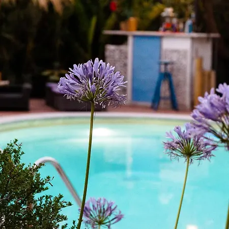 Esclusiva Con Piscina E Parco Privato Da 1200 Mq Cinque Minuti A Piedi Dalle Spiagge Di